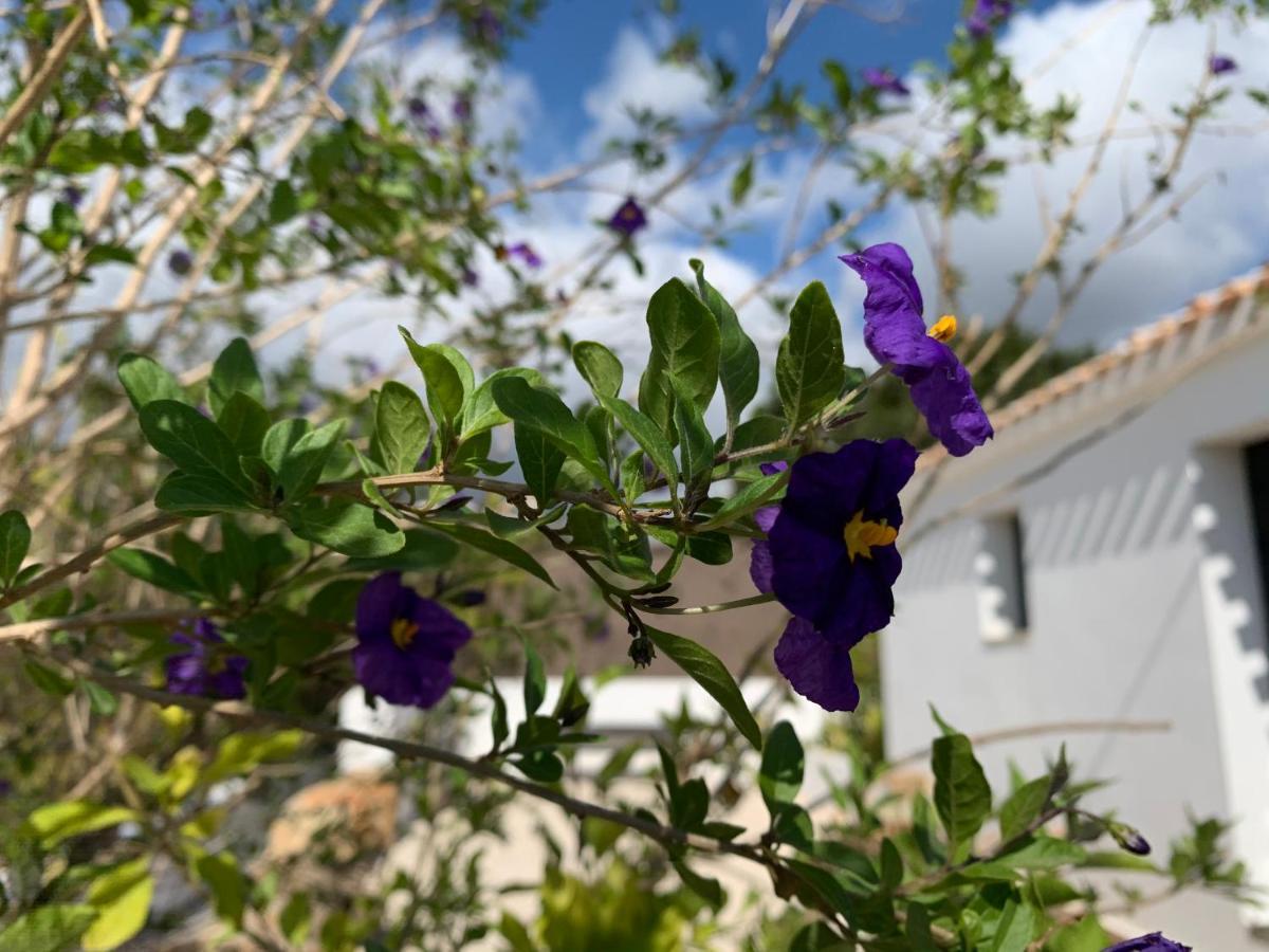 Finca Bona Nit Bed & Breakfast Javea Exterior photo